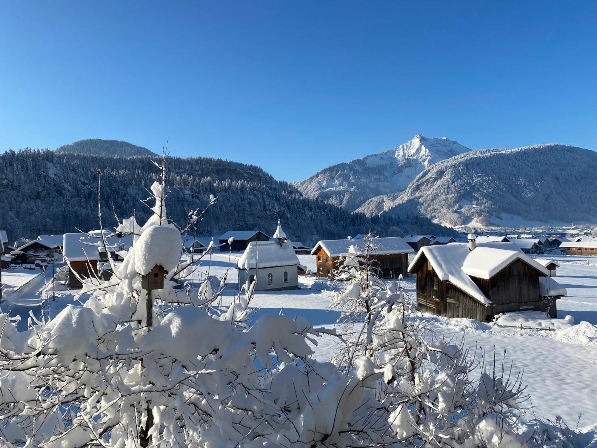 Bregenzerwaelderhaus Ambros Villa Bezau Buitenkant foto