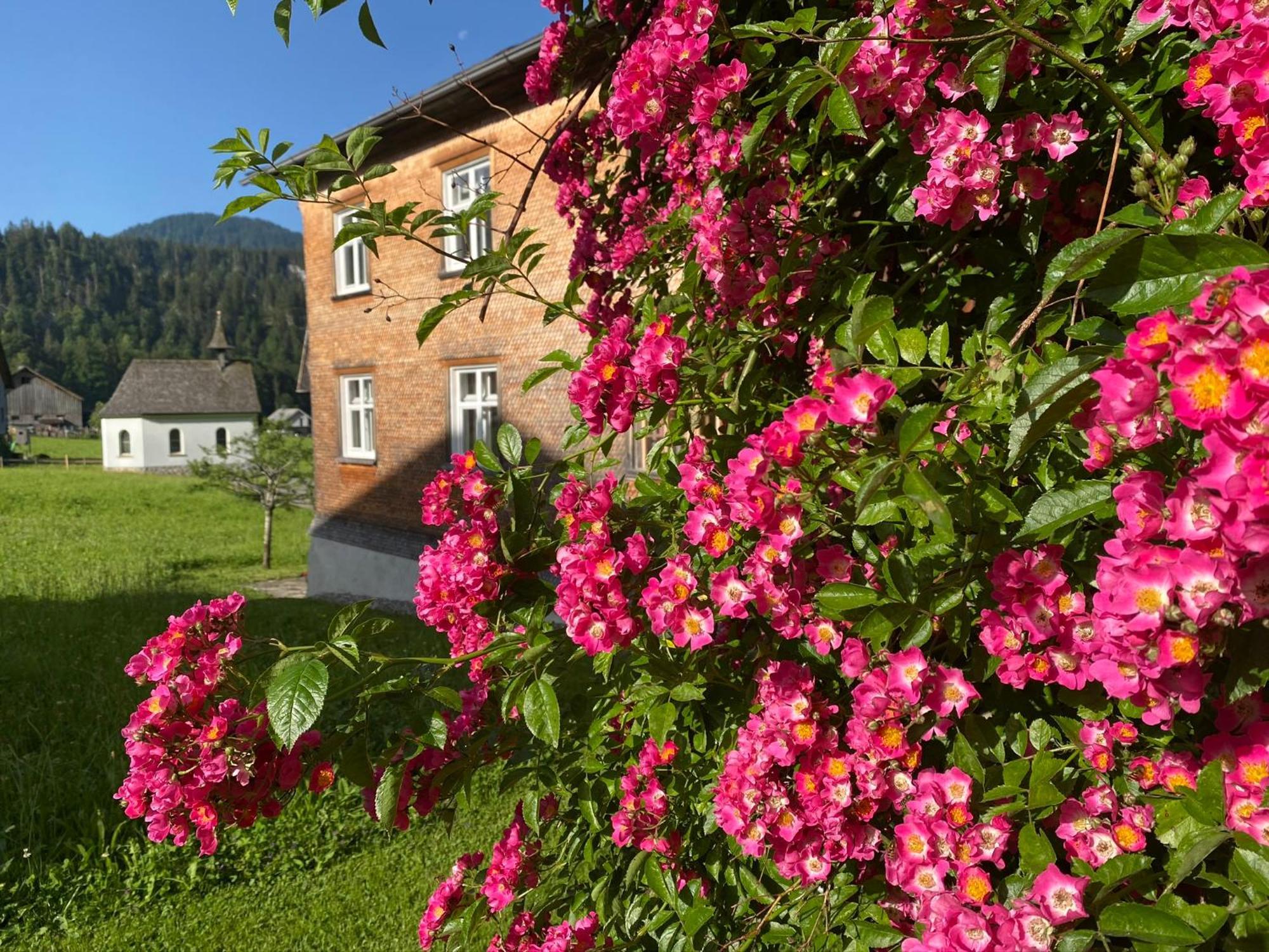 Bregenzerwaelderhaus Ambros Villa Bezau Buitenkant foto