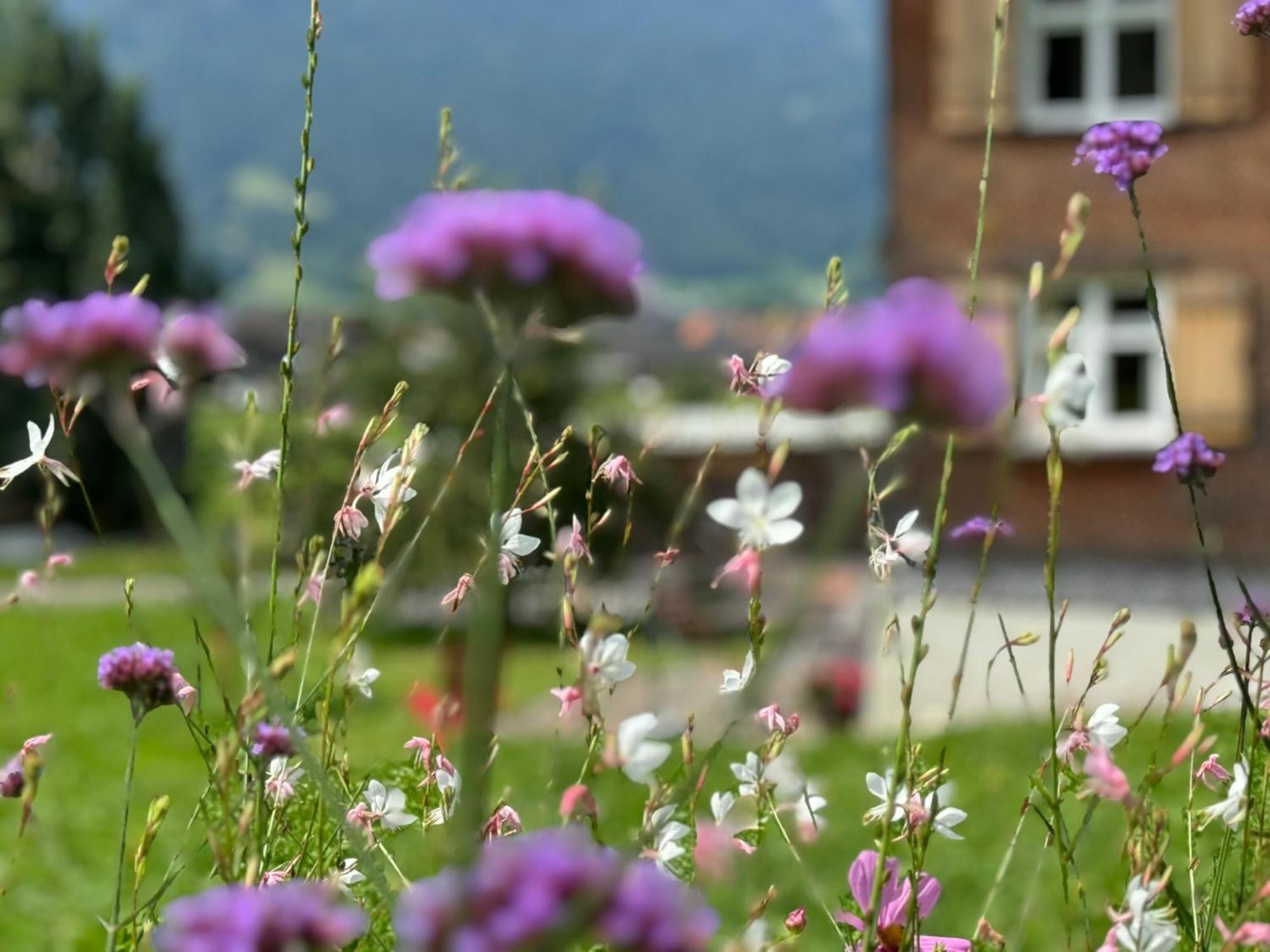 Bregenzerwaelderhaus Ambros Villa Bezau Buitenkant foto